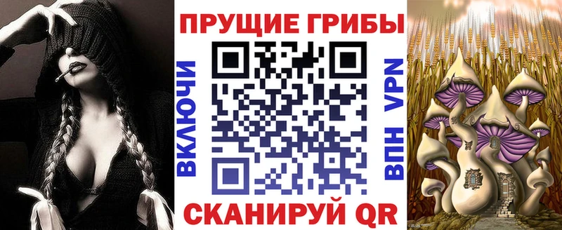 Галлюциногенные грибы MAGIC MUSHROOMS kraken маркетплейс Верхнеуральск купить наркотики сайты